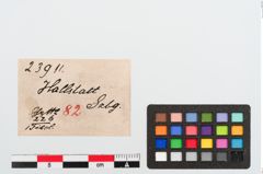 Etiketten zu Bronzekahnfibel (NHMW-PRAE-023911)